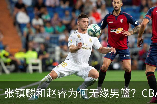 张镇麟和赵睿为何无缘男篮？CBA名记分析，道出2个原因